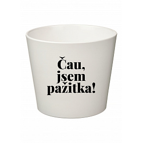 ČAU, JSEM PAŽITKA! - malý květináč 