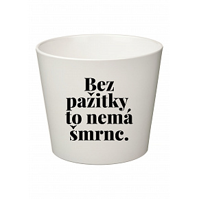 BEZ PAŽITKY TO NEMÁ ŠMRNC. - malý květináč 