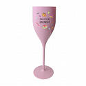 Personalizovaná nerozbitná prosecco sklenice pro paní učitelku/pana učitele (pomůcky)