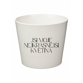 JSI MOJE NEJKRÁSNĚJŠÍ KVĚTINA - velký květináč 